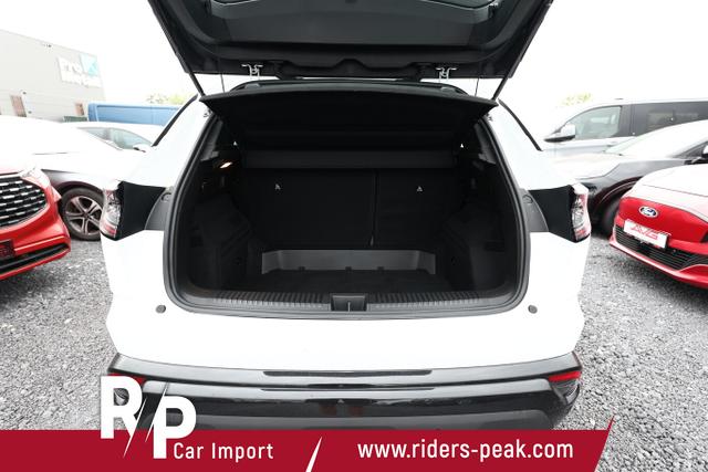 Renault Austral Evolution 1.3 TCe 160 CVT LED Nav PDC 