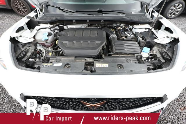 Cupra Formentor VZ 2.0 TSI 310 DSG 4Drive Nav eHk 19Z 