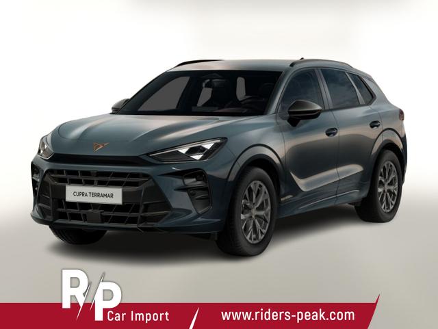 Cupra Terramar DSG IntelliD Dinamica Edge 360&deg; eHk ACC 