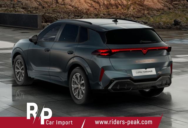 Cupra Terramar DSG IntelliD Dinamica Edge 360&deg; eHk ACC 