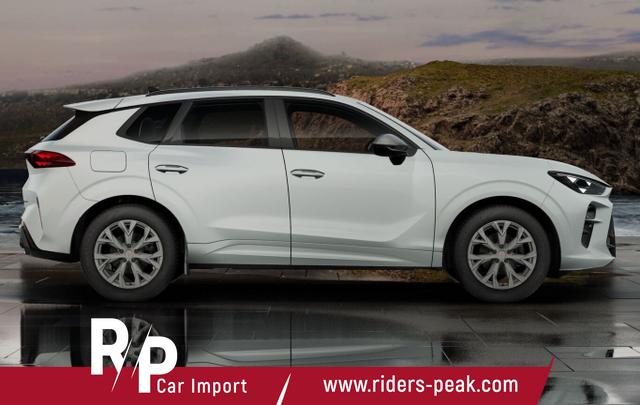 Cupra Terramar DSG IntelliD Dinamica Edge 360&deg; eHk ACC 