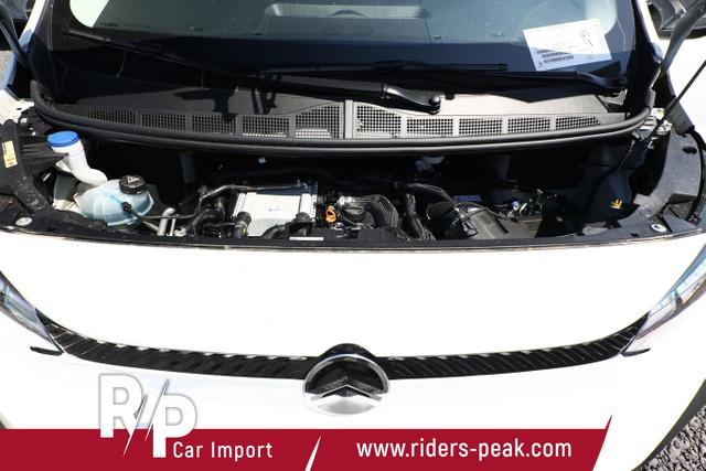 Citro&euml;n Jumpy M Kam 3S AHK SHZ CarP Heckklappe Holz PDC 