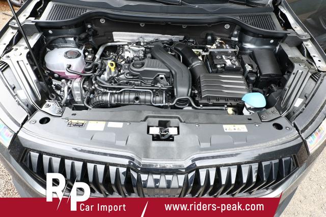 Skoda Karoq Sportline DSG Sportl AHK 19Z Matrix Nav 360&deg; Canton 