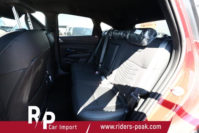 Hyundai TUCSON Black Ed. DCT SHZ v+h 19Z 3Z-Klima PrivG 