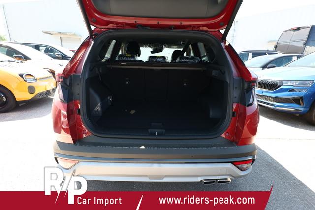 Hyundai TUCSON Black Ed. DCT SHZ v+h 19Z 3Z-Klima PrivG 