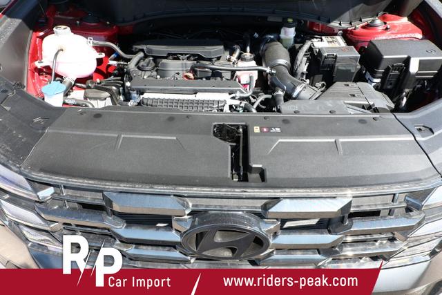 Hyundai TUCSON Black Ed. DCT SHZ v+h 19Z 3Z-Klima PrivG 