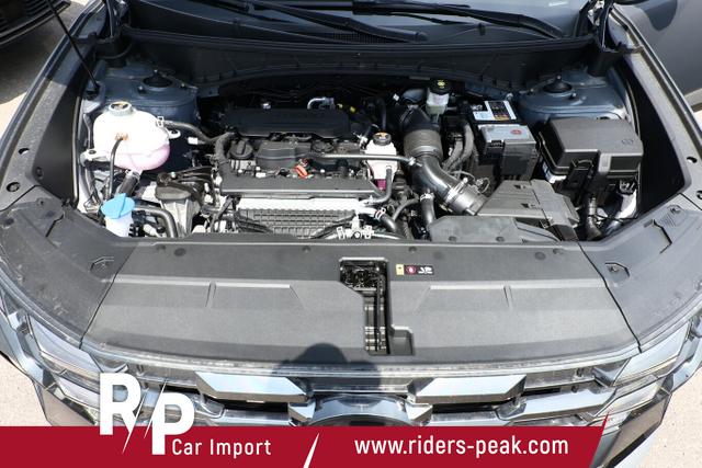 Hyundai TUCSON Black Ed. DCT Matrix SHZ v+h 19Z 3Z-Klim 