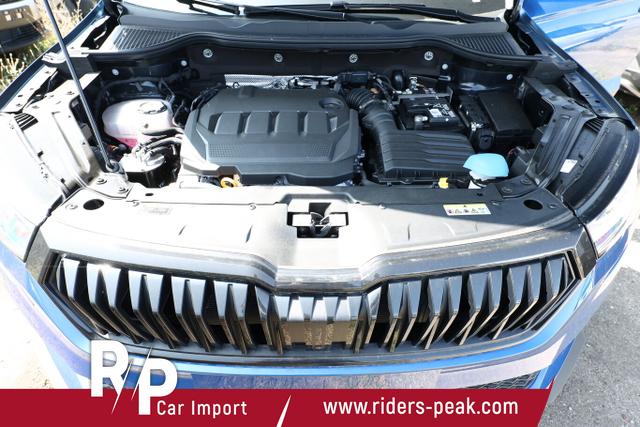 Skoda Karoq Sportline DSG Sportl Pano Matrix Nav 360&deg; Canton ACC 