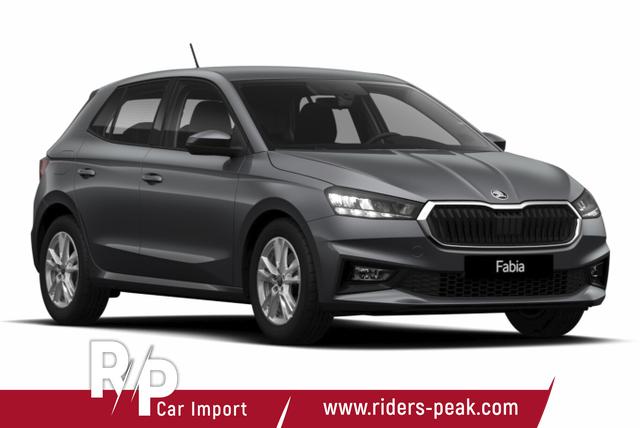 Skoda Fabia Selection DSG Selec Kessy Kam SHZ SunS Temp 5J/100k 