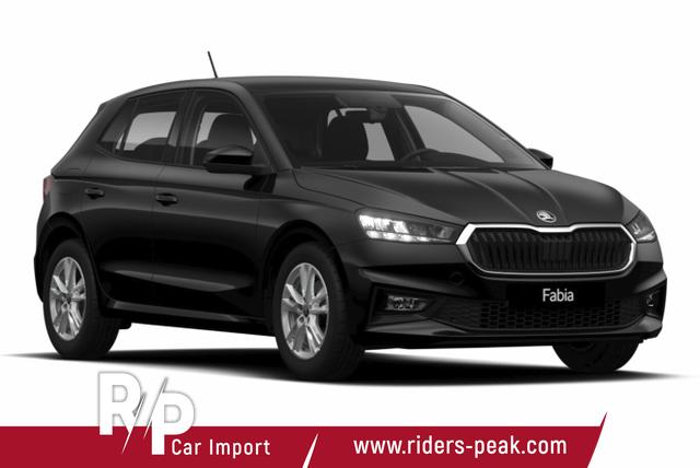 Skoda Fabia Selection DSG Selec Kessy Kam SHZ SunS Temp 5J/100k 