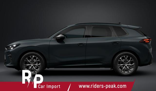 Cupra Terramar DSG EdgeP SHZ eHk Kam ACC 18" PrivG Amb 