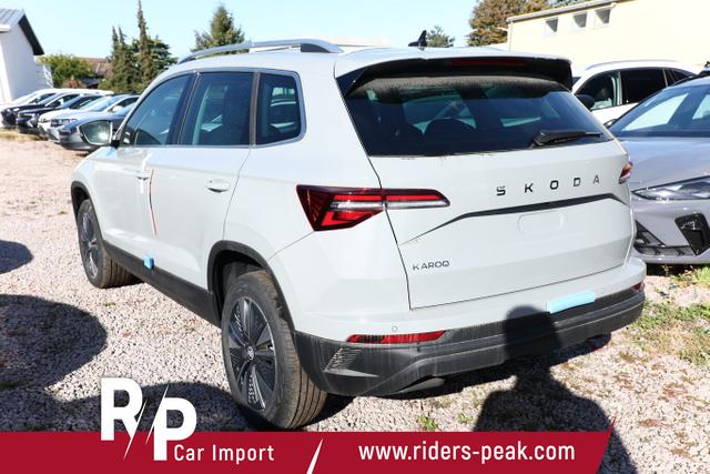 Skoda Karoq Selection DSG Selec AHK ACC Kam SideA SHZv/h Kessy 