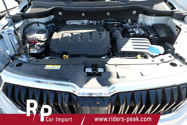 Skoda Karoq Selection DSG Selec AHK ACC Kam SideA SHZv/h Kessy 