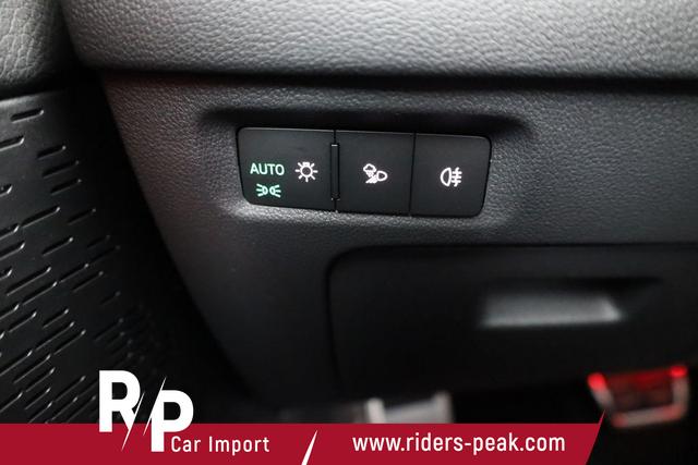 Skoda Octavia Combi RS 2.0 TSI DSG, Facelift, el. Klappe, Navi, Matrix, sofort 