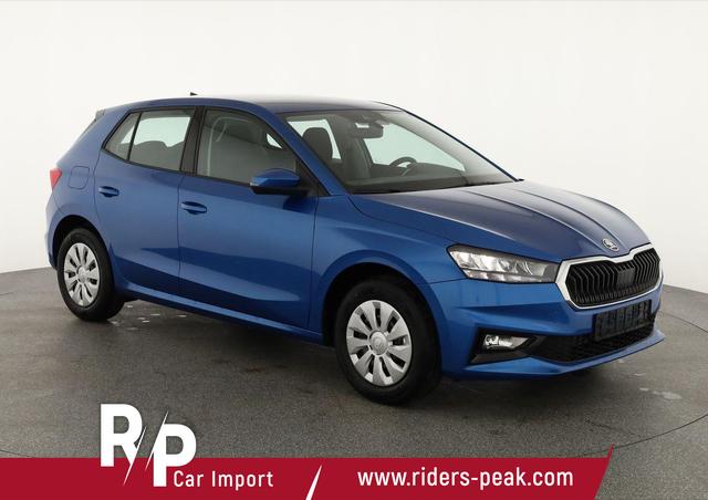 Skoda Fabia - Selection 1.0 TSI Selection, Park, Winterpaket, SmartLink, 4-J Garantie