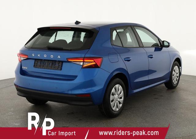 Skoda Fabia Selection 1.0 TSI Selection, Park, Winterpaket, SmartLink, 4-J Garantie 
