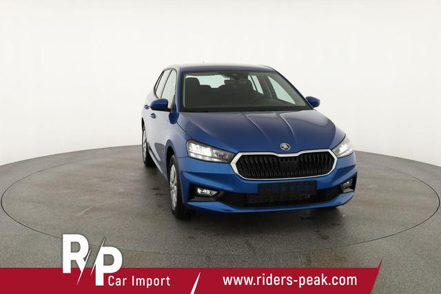 Skoda Fabia Selection 1.0 TSI Selection, Park, Winterpaket, SmartLink, 4-J Garantie 