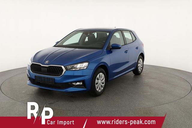 Skoda Fabia Selection 1.0 TSI Selection, Park, Winterpaket, SmartLink, 4-J Garantie 