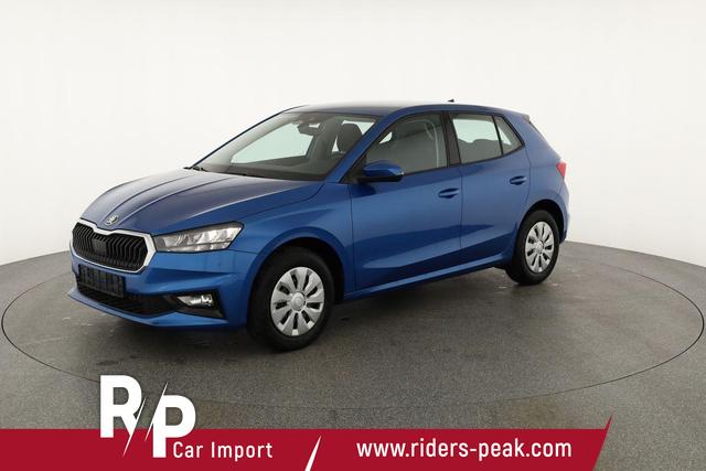 Skoda Fabia Selection 1.0 TSI Selection, Park, Winterpaket, SmartLink, 4-J Garantie 