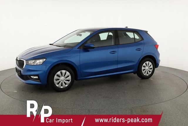Skoda Fabia Selection 1.0 TSI Selection, Park, Winterpaket, SmartLink, 4-J Garantie 