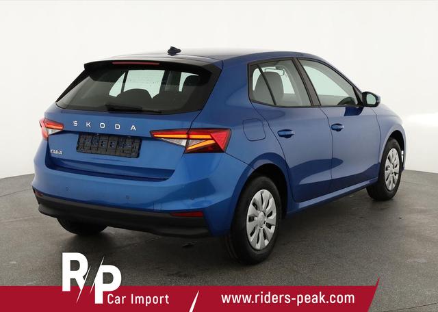 Skoda Fabia Selection 1.0 TSI Selection, Tempomat, Park, Winterpaket, SmartLink, 4-J Garantie 