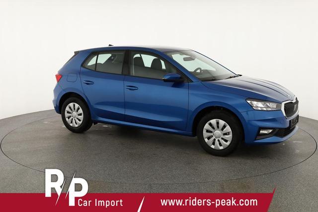 Skoda Fabia Selection 1.0 TSI Selection, Tempomat, Park, Winterpaket, SmartLink, 4-J Garantie 