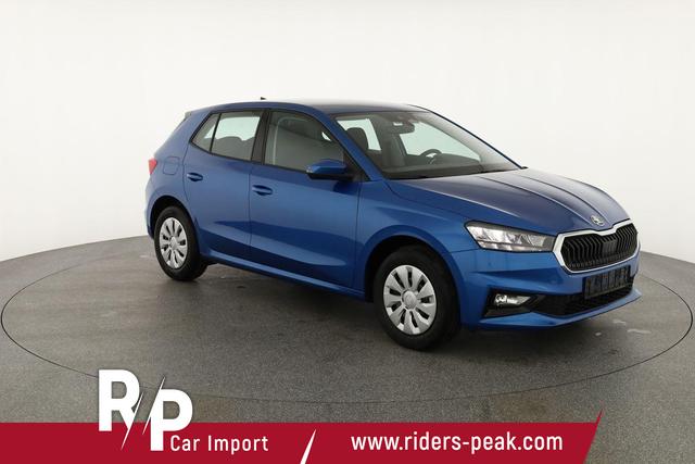 Skoda Fabia Selection 1.0 TSI Selection, Tempomat, Park, Winterpaket, SmartLink, 4-J Garantie 