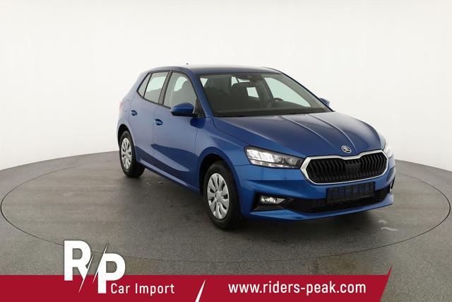 Skoda Fabia Selection 1.0 TSI Selection, Tempomat, Park, Winterpaket, SmartLink, 4-J Garantie 