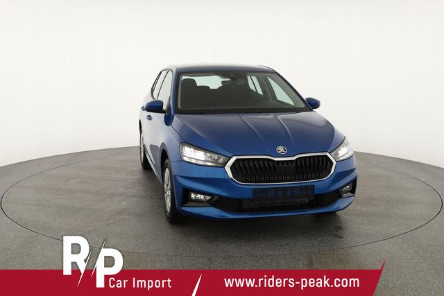 Skoda Fabia Selection 1.0 TSI Selection, Tempomat, Park, Winterpaket, SmartLink, 4-J Garantie 