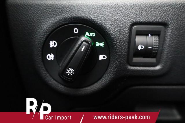 Skoda Fabia Selection 1.0 TSI Selection, Tempomat, Park, Winterpaket, SmartLink, 4-J Garantie 