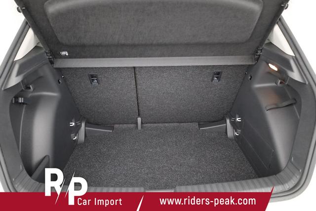 Skoda Fabia Selection 1.0 TSI Selection, Tempomat, Park, Winterpaket, SmartLink, 4-J Garantie 