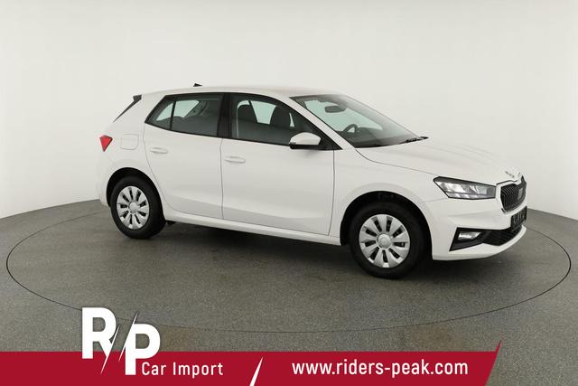 Skoda Fabia Selection 1.0 TSI Selection, Tempomat, Park, Winterpaket, SmartLink, 4-J Garantie 