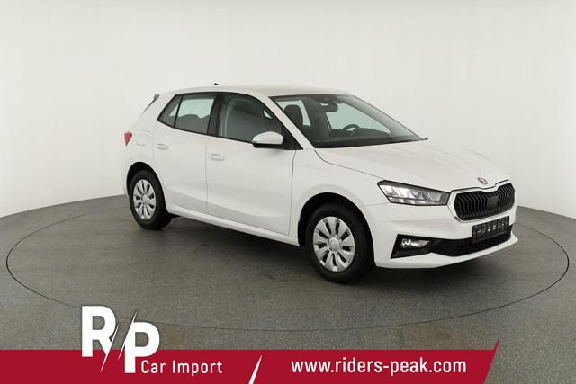 Skoda Fabia Selection 1.0 TSI Selection, Tempomat, Park, Winterpaket, SmartLink, 4-J Garantie 