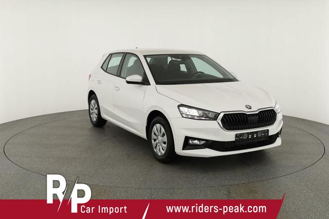 Skoda Fabia Selection 1.0 TSI Selection, Tempomat, Park, Winterpaket, SmartLink, 4-J Garantie 