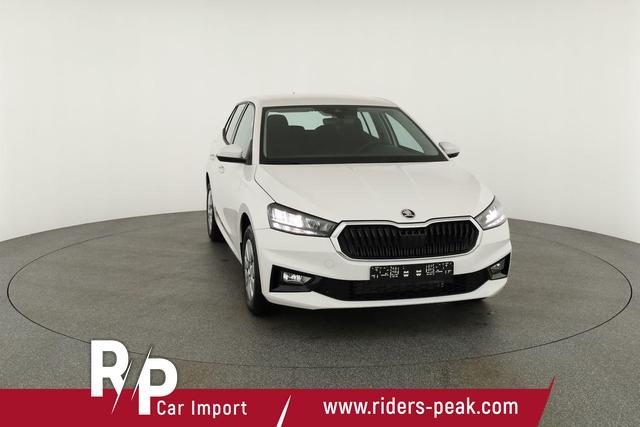 Skoda Fabia Selection 1.0 TSI Selection, Tempomat, Park, Winterpaket, SmartLink, 4-J Garantie 
