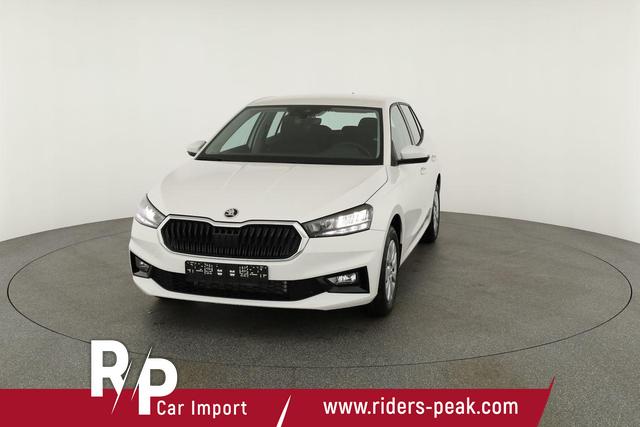 Skoda Fabia Selection 1.0 TSI Selection, Tempomat, Park, Winterpaket, SmartLink, 4-J Garantie 