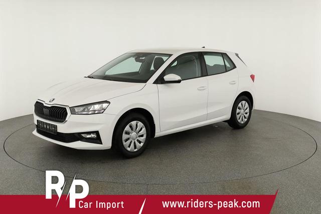 Skoda Fabia Selection 1.0 TSI Selection, Tempomat, Park, Winterpaket, SmartLink, 4-J Garantie 