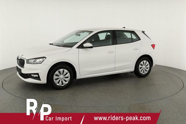 Skoda Fabia Selection 1.0 TSI Selection, Tempomat, Park, Winterpaket, SmartLink, 4-J Garantie 