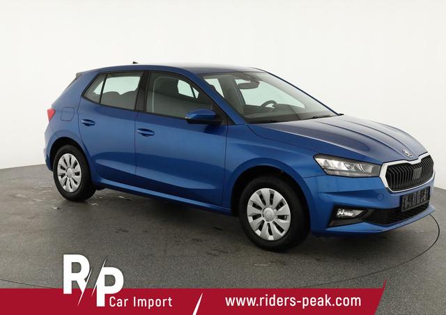 Skoda Fabia - Selection 1.0 TSI Selection, Ladeboden, Park, Winterpaket, SmartLink, 4-J Garantie