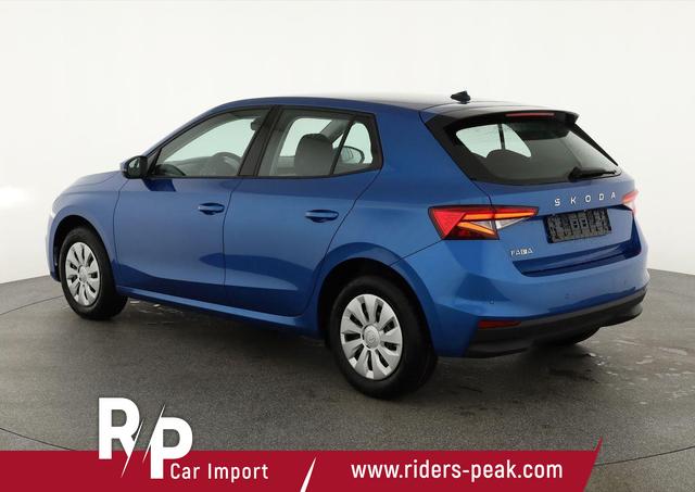 Skoda Fabia Selection 1.0 TSI Selection, Ladeboden, Park, Winterpaket, SmartLink, 4-J Garantie 