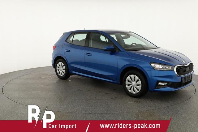 Skoda Fabia Selection 1.0 TSI Selection, Ladeboden, Park, Winterpaket, SmartLink, 4-J Garantie 