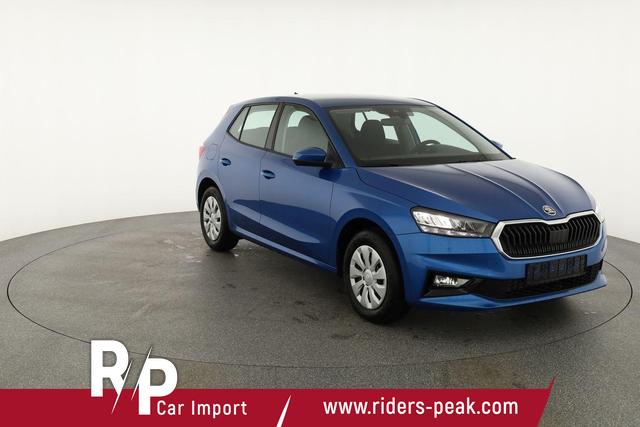 Skoda Fabia Selection 1.0 TSI Selection, Ladeboden, Park, Winterpaket, SmartLink, 4-J Garantie 