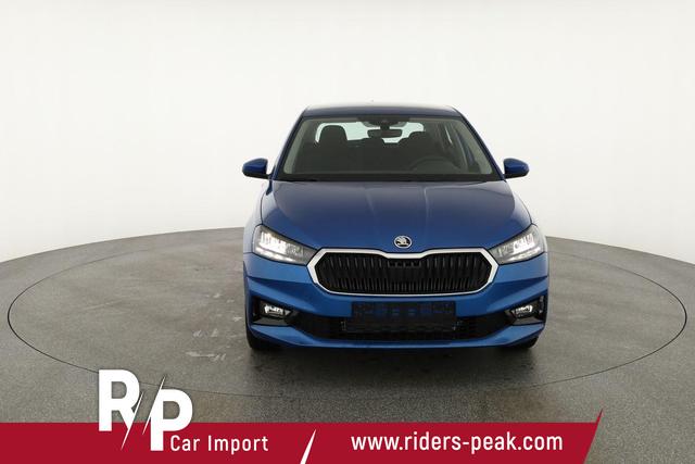 Skoda Fabia Selection 1.0 TSI Selection, Ladeboden, Park, Winterpaket, SmartLink, 4-J Garantie 