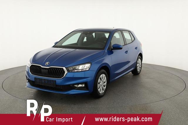 Skoda Fabia Selection 1.0 TSI Selection, Ladeboden, Park, Winterpaket, SmartLink, 4-J Garantie 