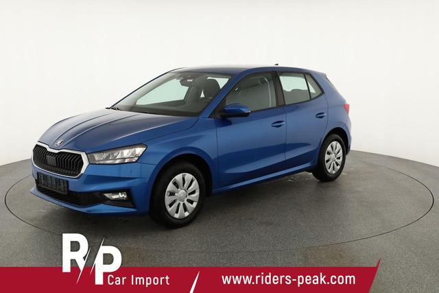 Skoda Fabia Selection 1.0 TSI Selection, Ladeboden, Park, Winterpaket, SmartLink, 4-J Garantie 