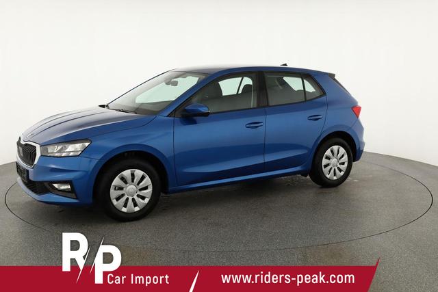 Skoda Fabia Selection 1.0 TSI Selection, Ladeboden, Park, Winterpaket, SmartLink, 4-J Garantie 
