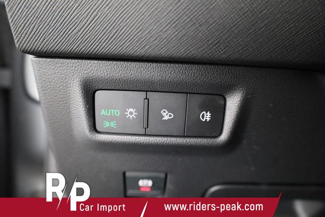 Skoda Kodiaq 2.0 TDI 142kW 4x4 Selection DSG Selection, 7-Sitzer, AHK, Navi, Matrix 