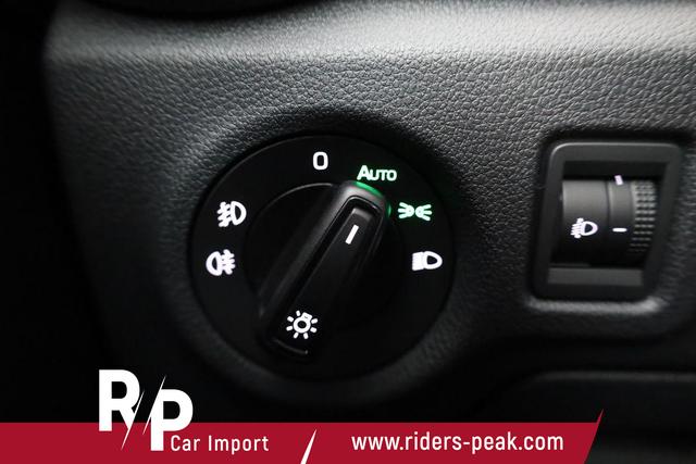 Skoda Fabia Selection 1.0 TSI Selection, Tempomat, Ladeboden, Park, Winterpaket, SmartLink, 4-J Garantie 