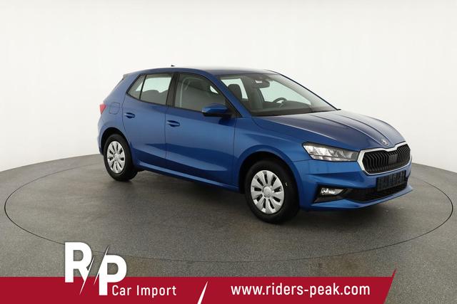 Skoda Fabia Selection 1.0 TSI Selection, Tempomat, Ladeboden, Park, Winterpaket, SmartLink, 4-J Garantie 