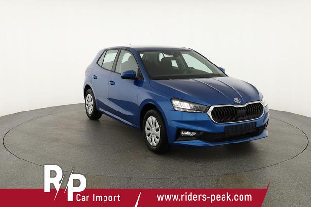 Skoda Fabia Selection 1.0 TSI Selection, Tempomat, Ladeboden, Park, Winterpaket, SmartLink, 4-J Garantie 
